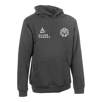 Select Hoodie Basic Select (Frövi IK)