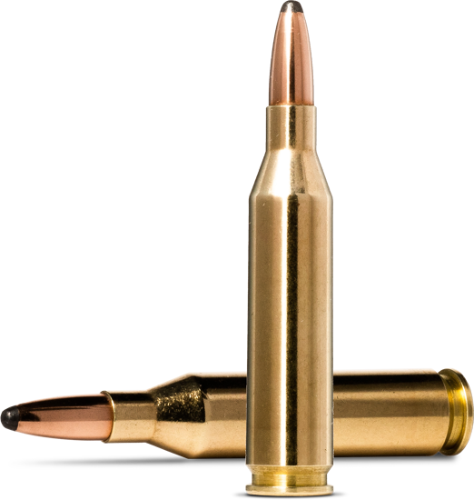Norma Whitetail .243 Win. 6,5g / 100gr 2