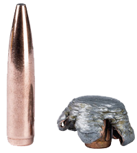 Federal Fusion .308 Win 10,7g / 165gr  2