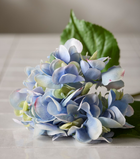 Hortensia 55 cm - 3