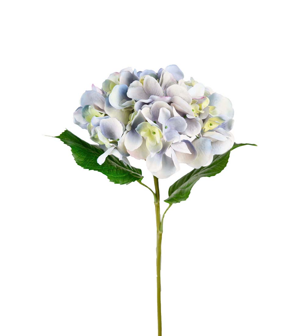 Hortensia 55 cm