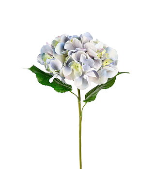 Hortensia 55 cm