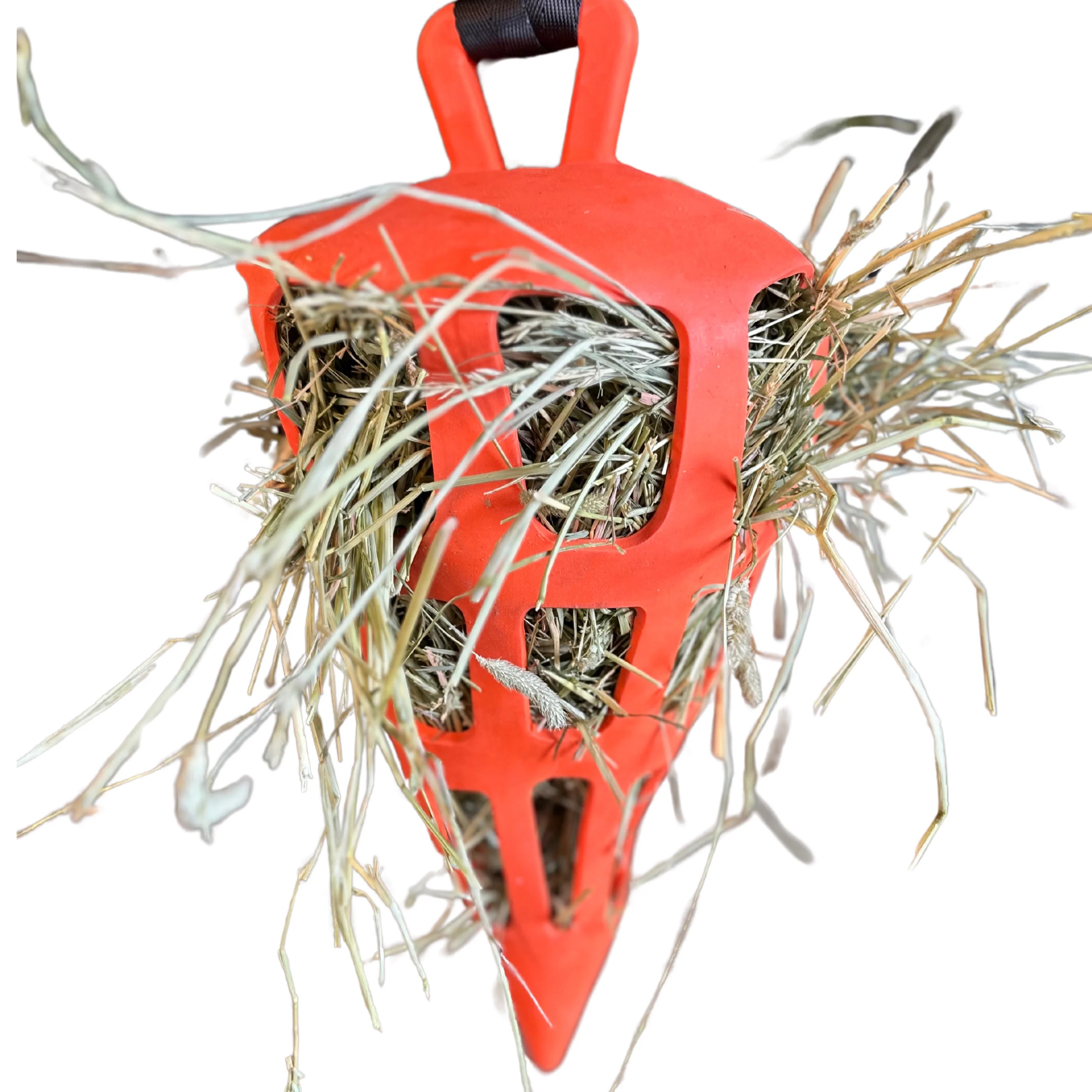 EQUNIQUE - Hay Slowfeeder Carrot