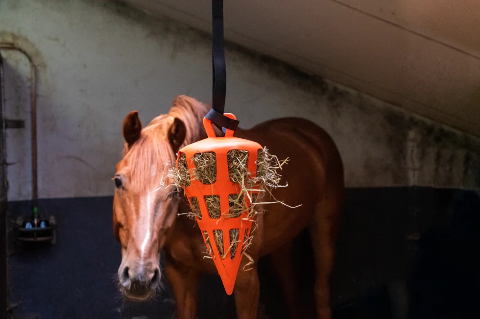 EQUNIQUE - Hay Slowfeeder Carrot - 4
