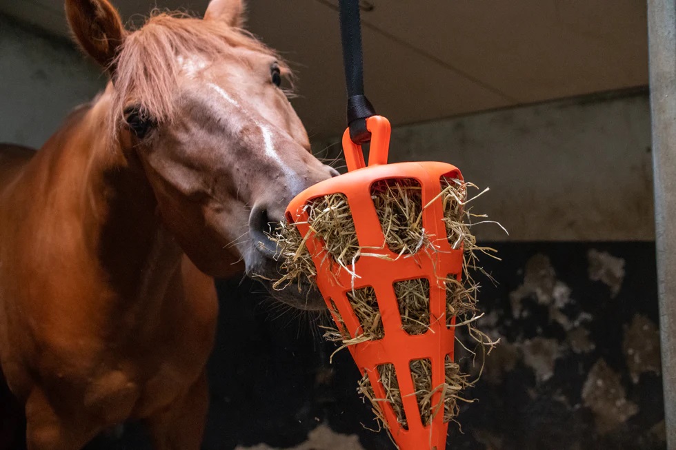 EQUNIQUE - Hay Slowfeeder Carrot - 3