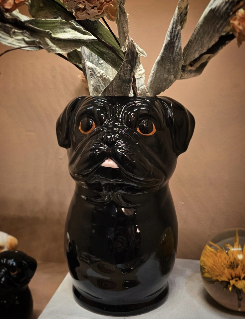 Vas - Black Dog