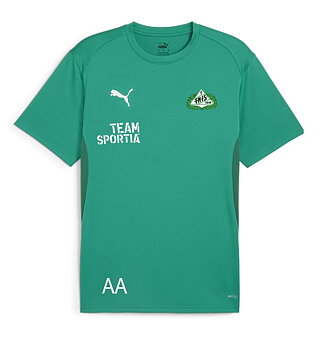 Puma Teamgoal Jersey Jr Jersey(TNIS)