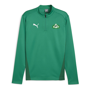 Puma Teamgoal Training 1/4 Zip Top Jersey Sr(TNIS)