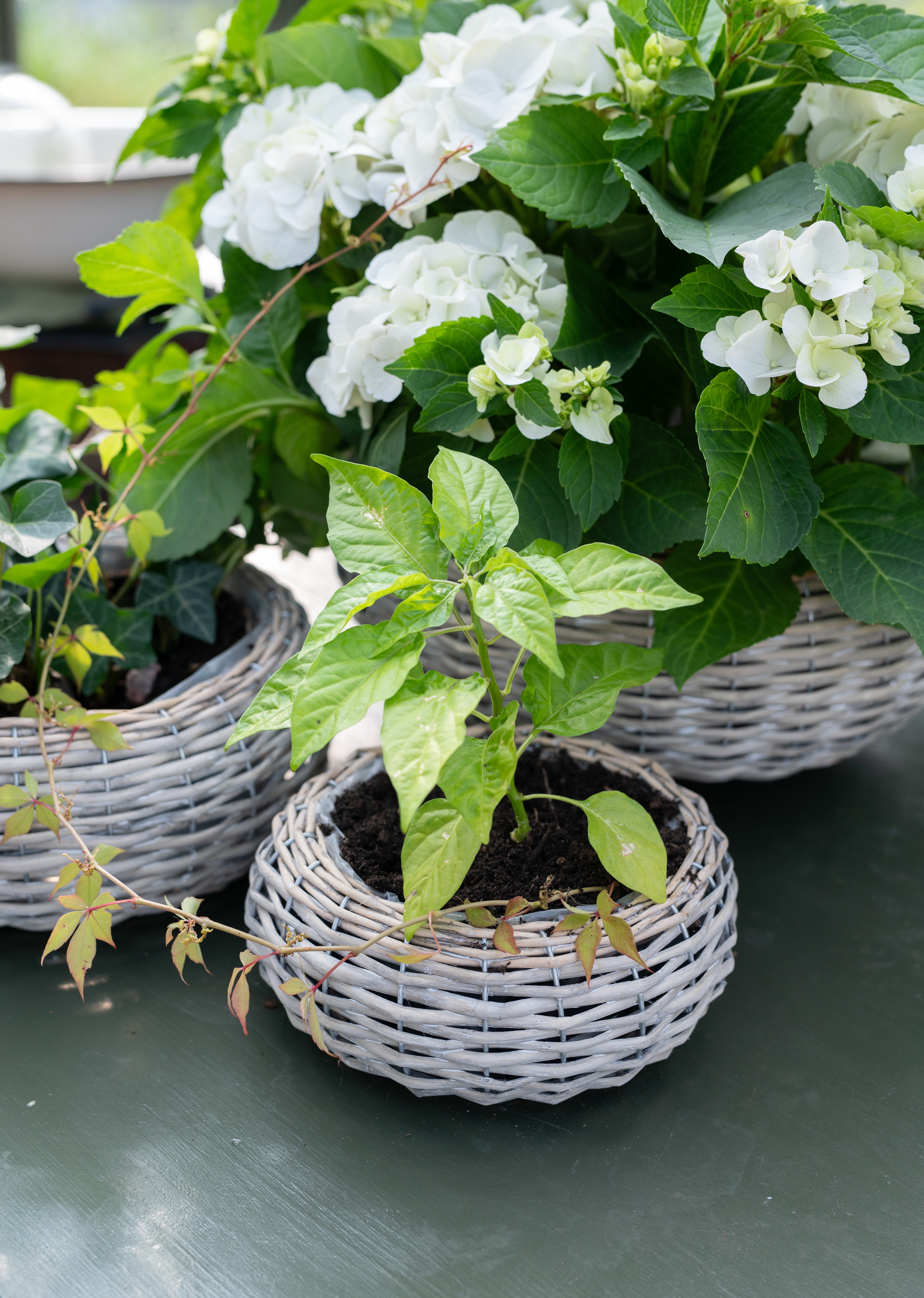Planting baskets - Basket with plastic lining - 3-pack - 3