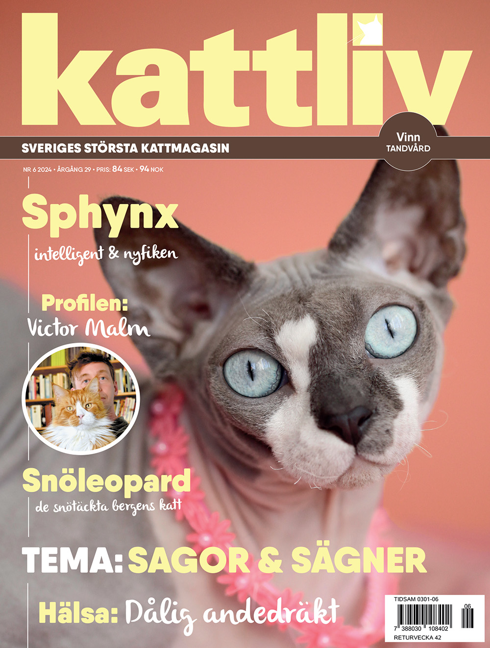 Lösnummer 6/2024