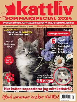 Sommarspecial 2024