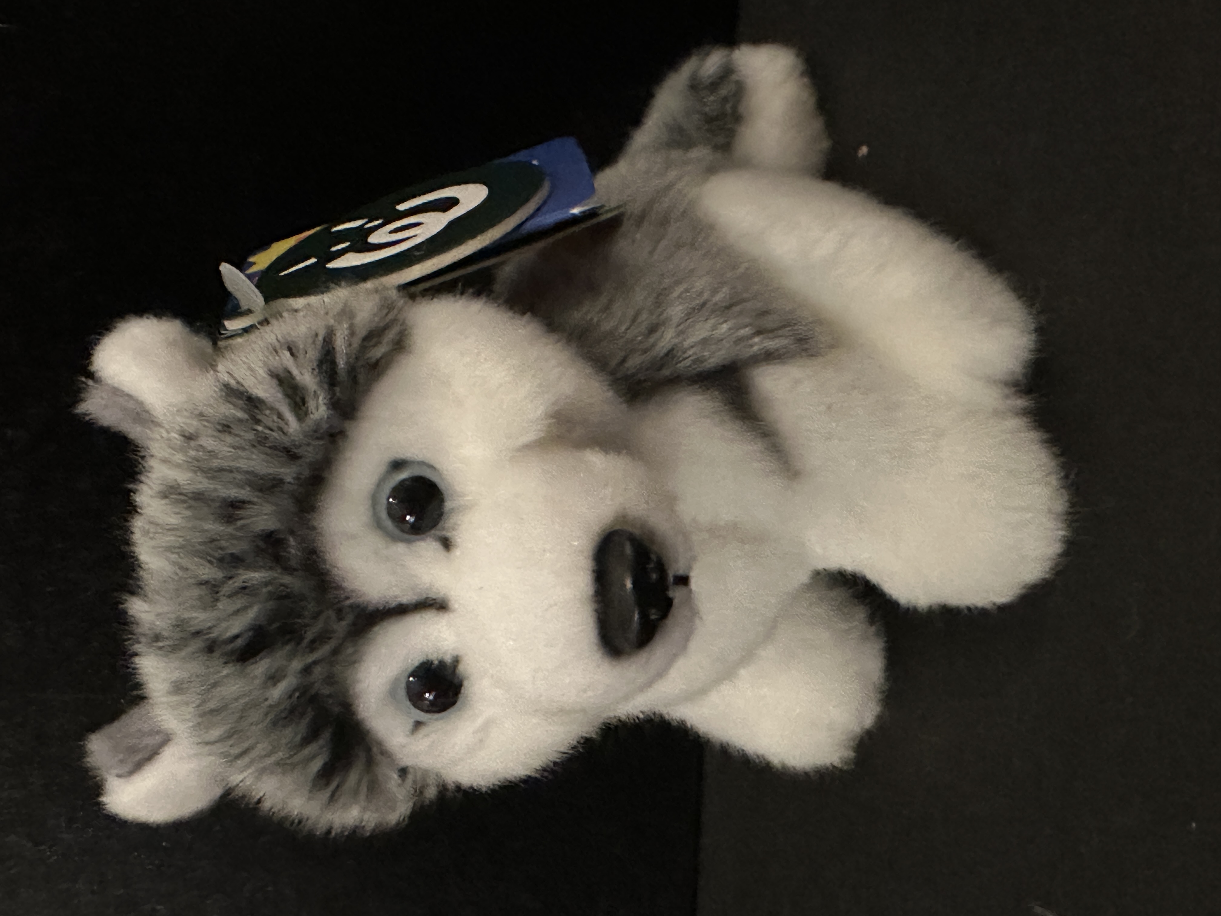 Gosedjur Sibirian Husky