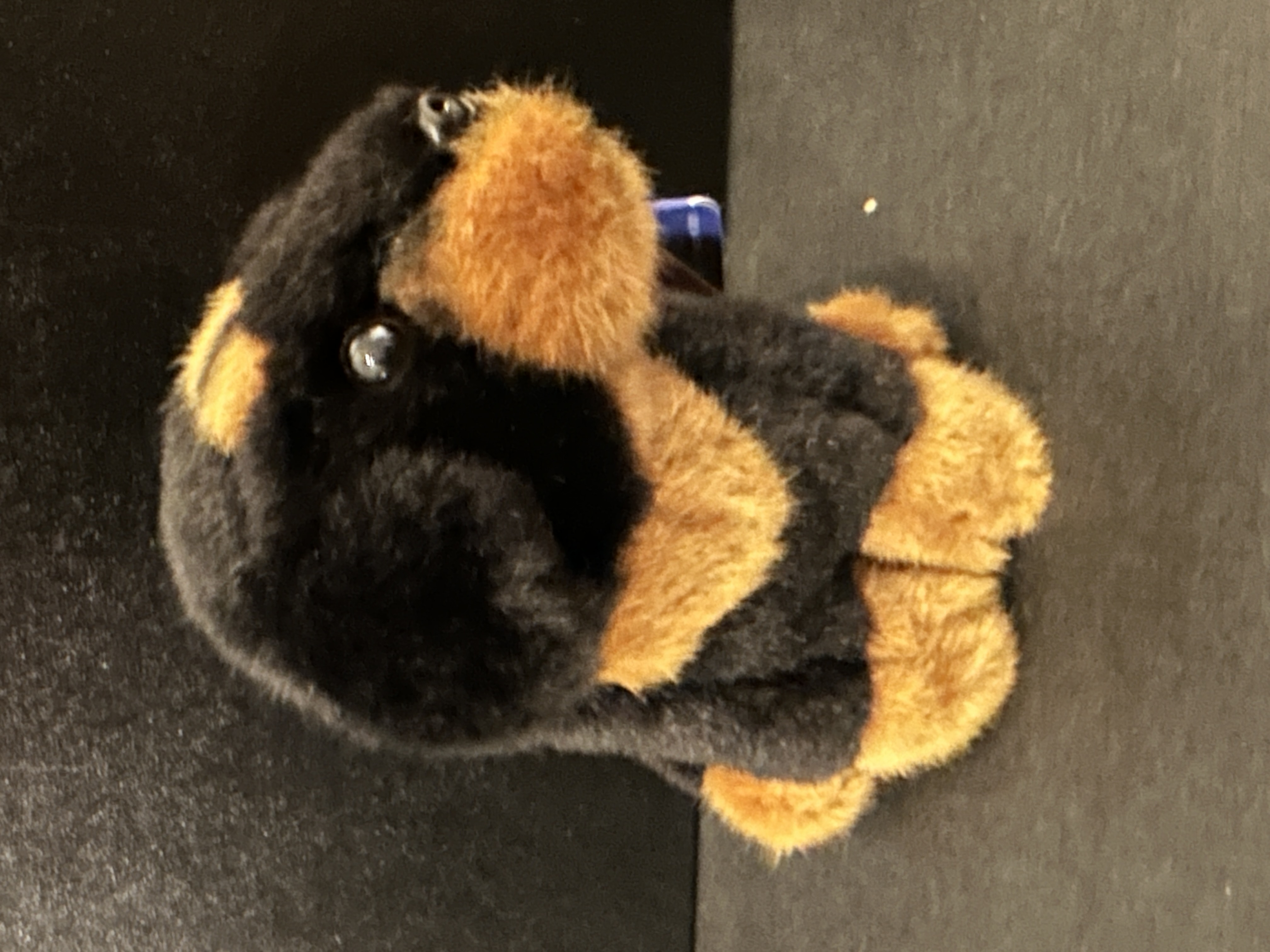Gosedjur Rottweiler