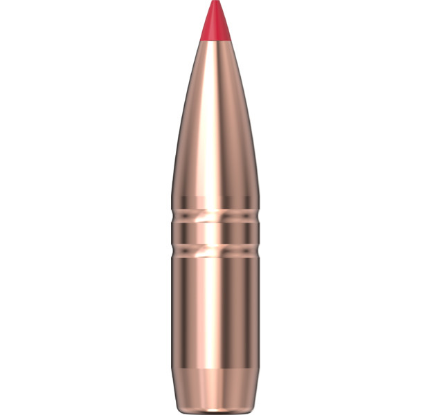 Hornady CX Bullets .30 (.308) 165gr / 10,7g