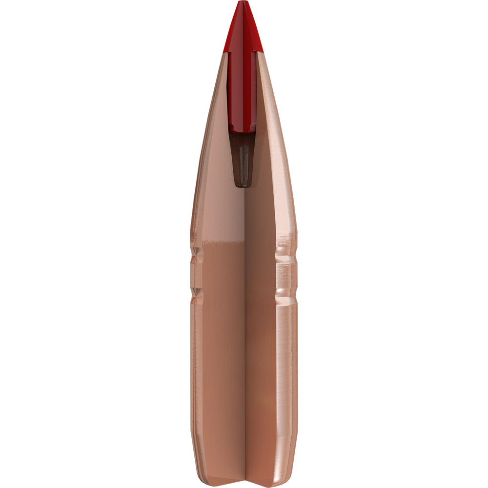 Hornady CX Bullets .30 (.308) 165gr / 10,7g 2