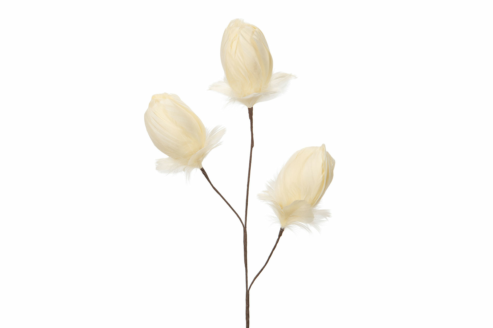Twig Feather Bud - Vanilla - 85 cm - 2