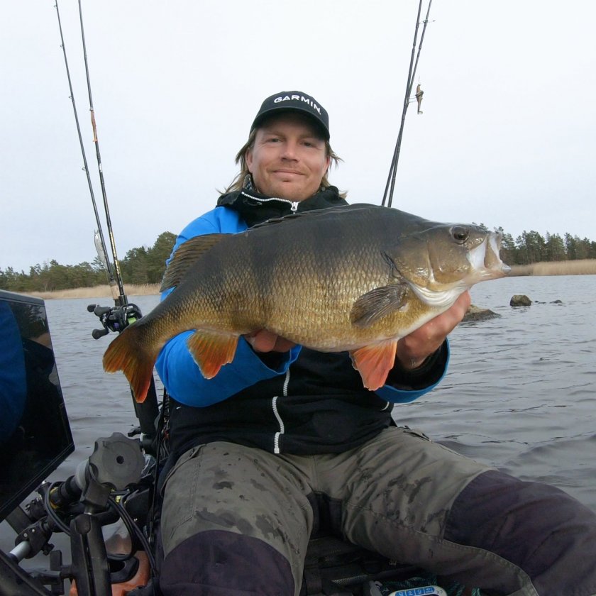 Prostaff Adam Wiking