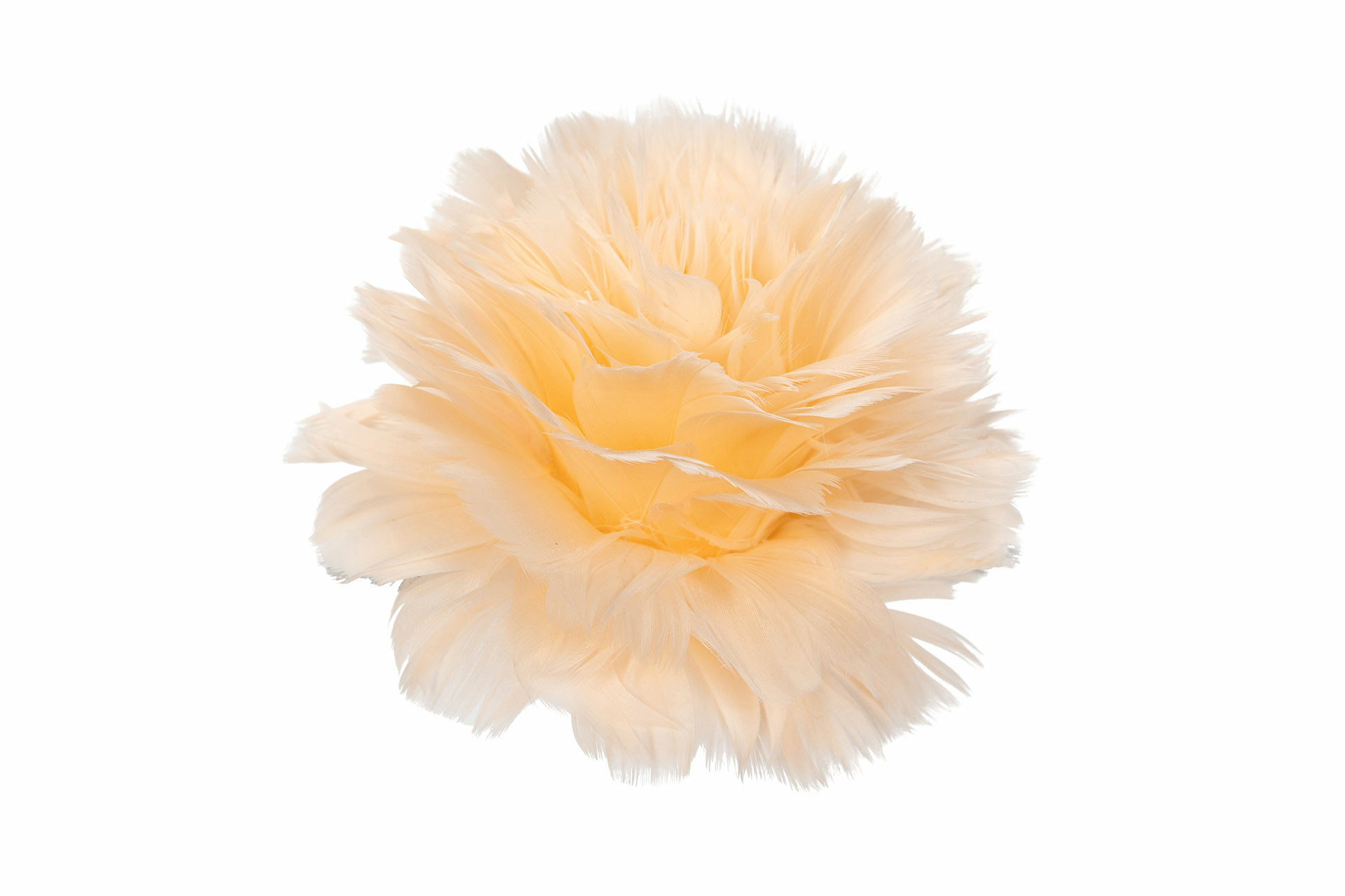 Fjäderblomma Med Clip Aprikos - Ø 11 cm - 1 styck - 2