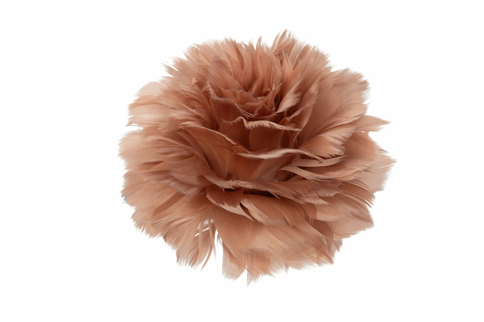 Fjäderblomma Med Clip Mullvad - Ø 11 cm - 1 styck - 2