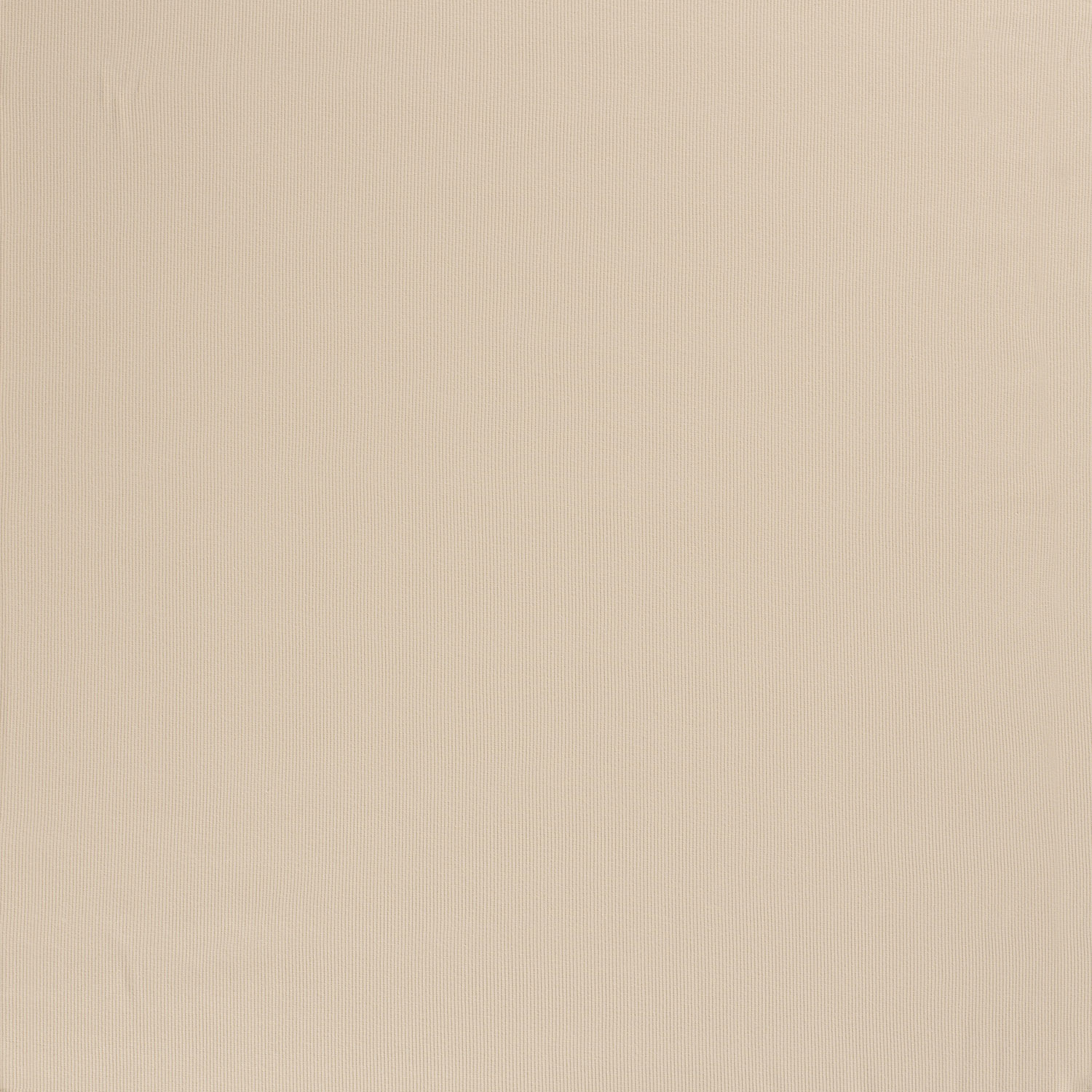 RIBBED JERSEY - BEIGE - 2