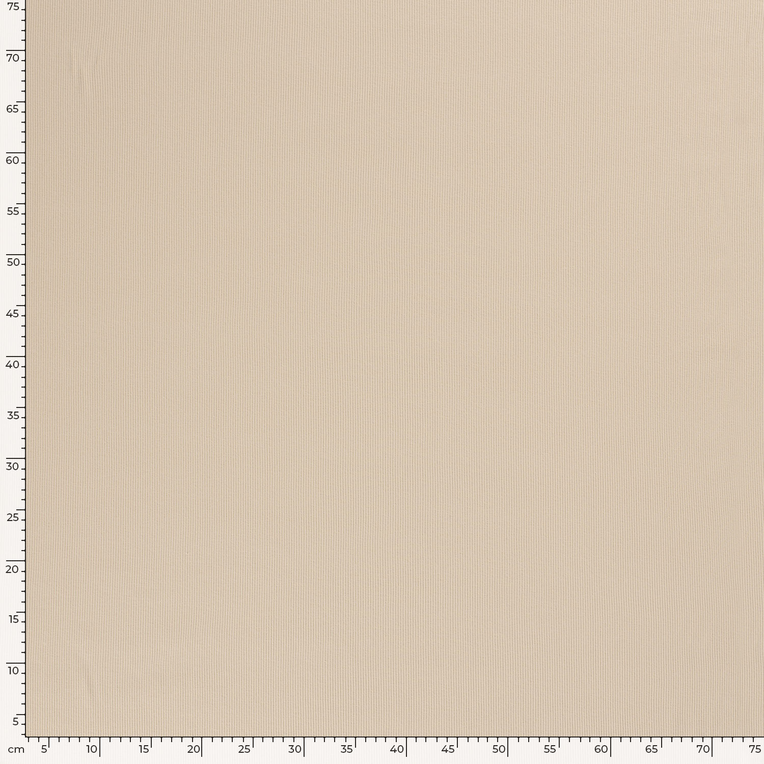 RIBBED JERSEY - BEIGE - 5