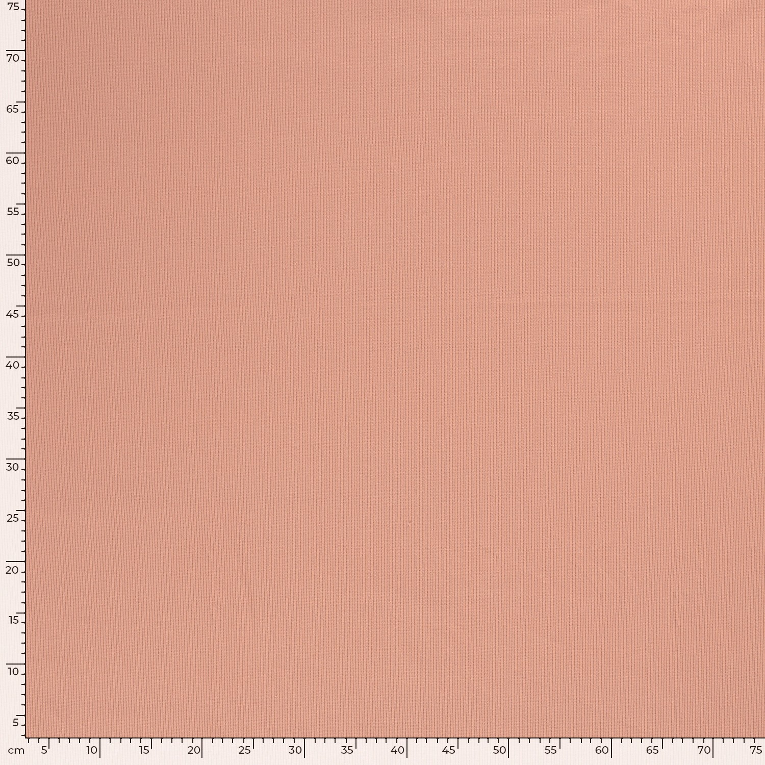 RIBBED JERSEY - CORAL - 5