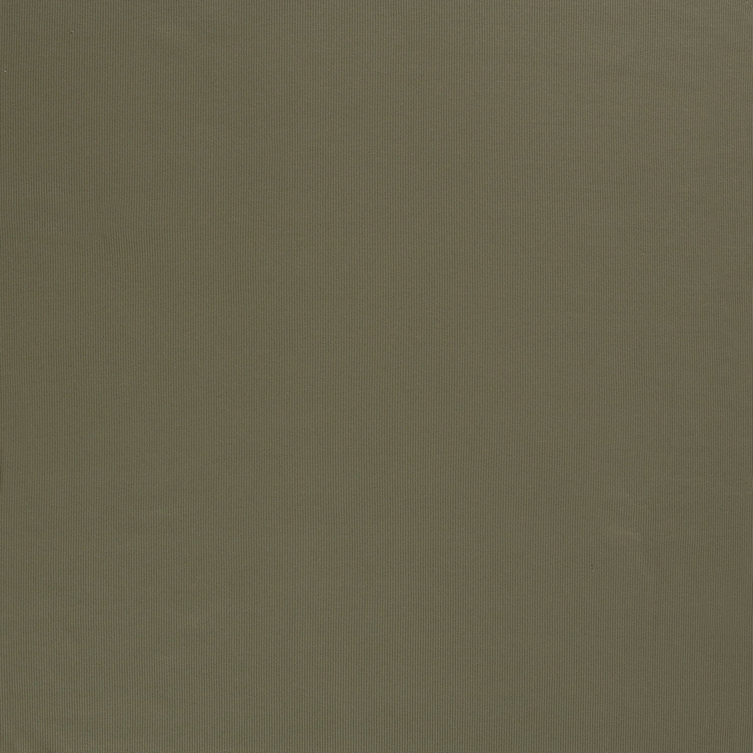 RIBBAD JERSEY - GREEN - 2