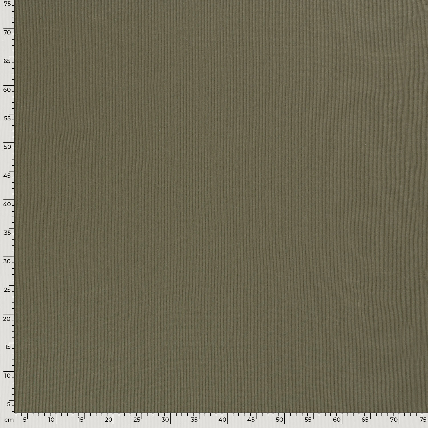 RIBBAD JERSEY - GREEN - 5