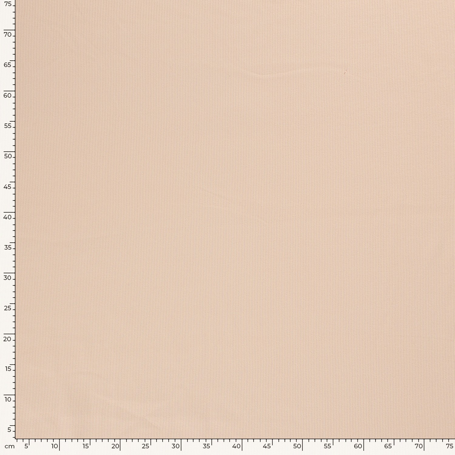 RIBBED JERSEY - PALE OLD PINK - 2