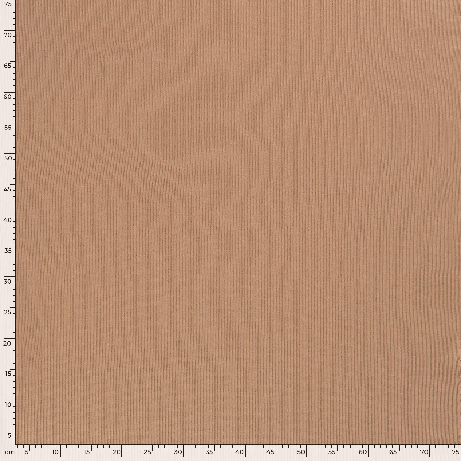 RIBBED JERSEY - PALE TERRACOTTA - 5