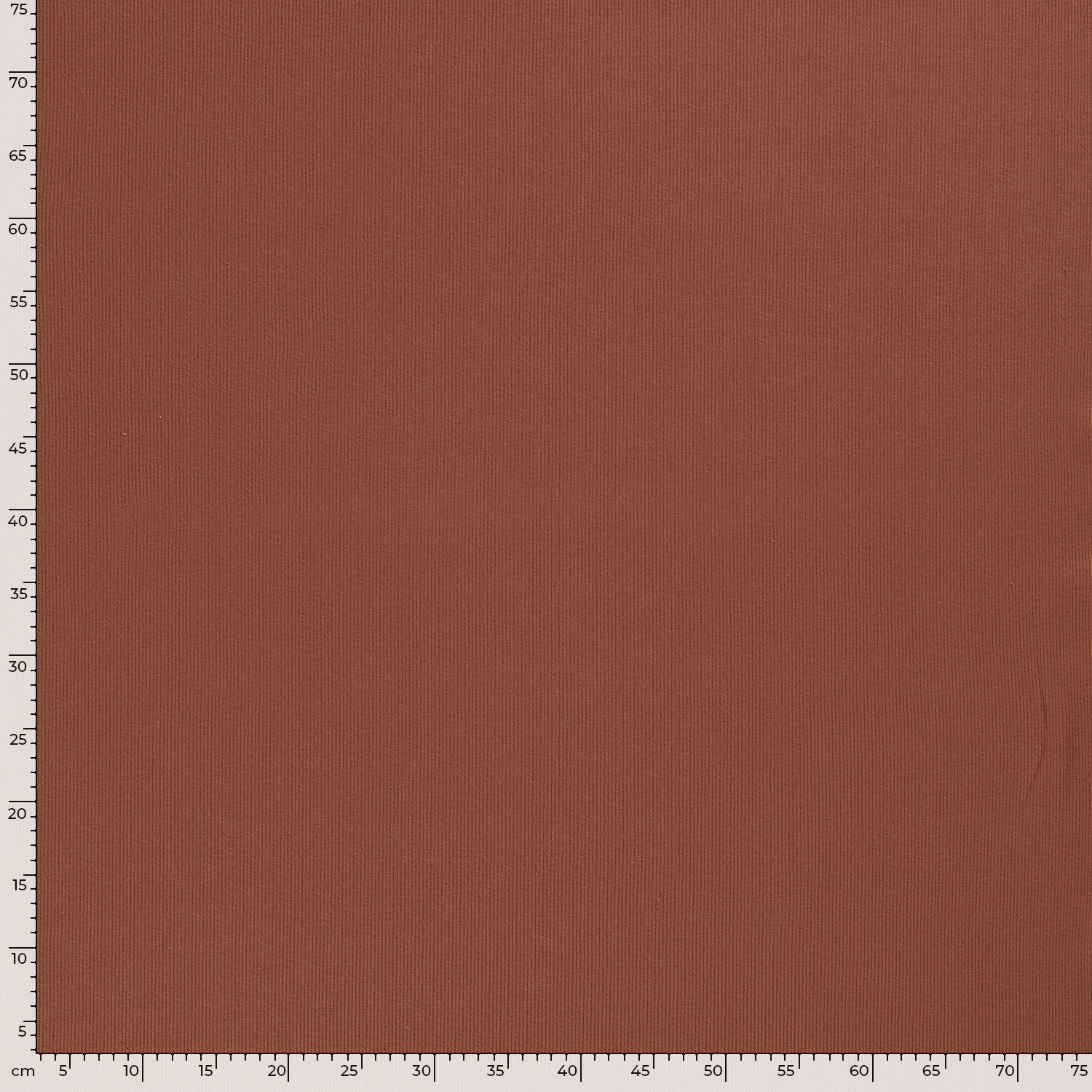 RIBBED JERSEY - REDWOOD - 5