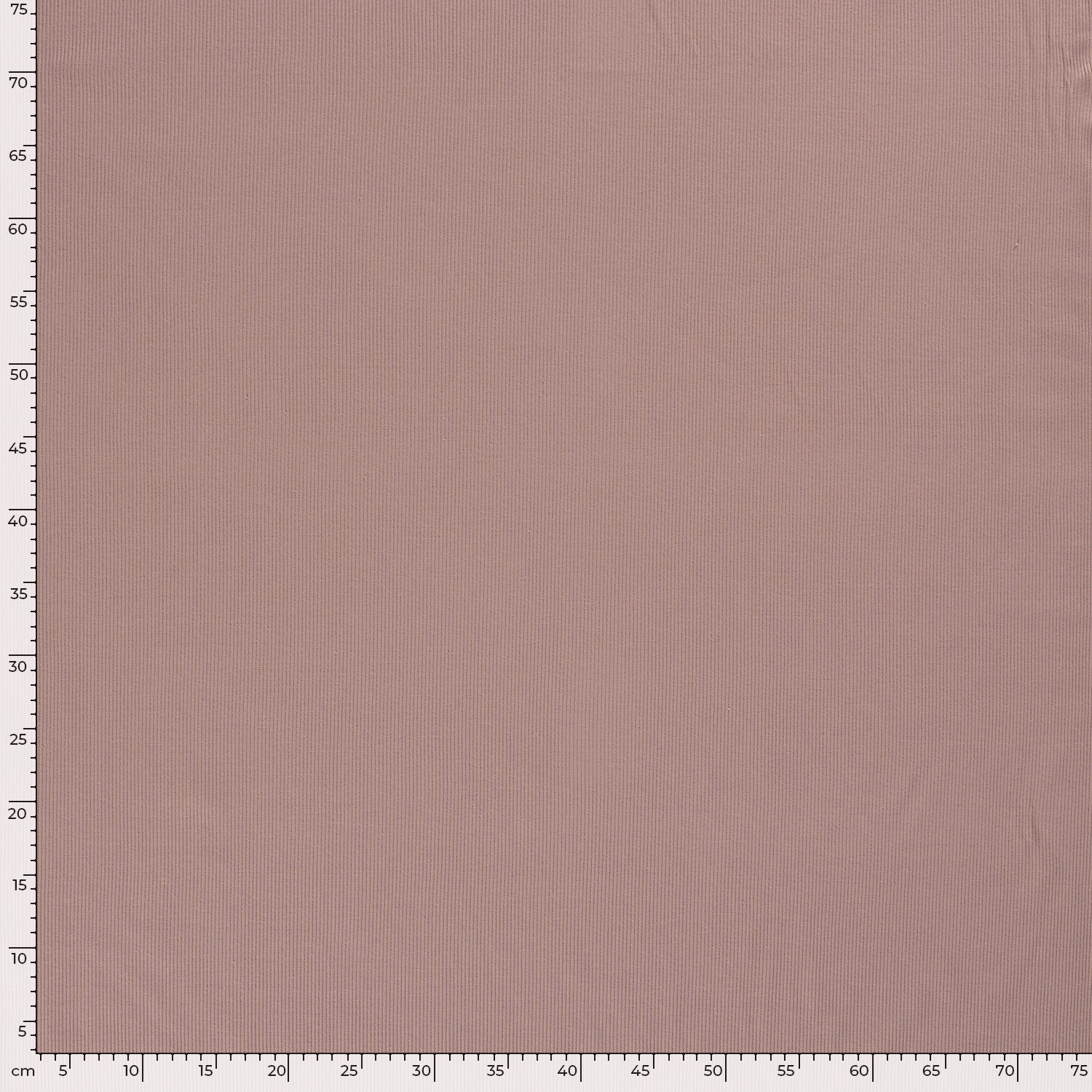 RIBBED JERSEY - DUSTY ROSE - 5
