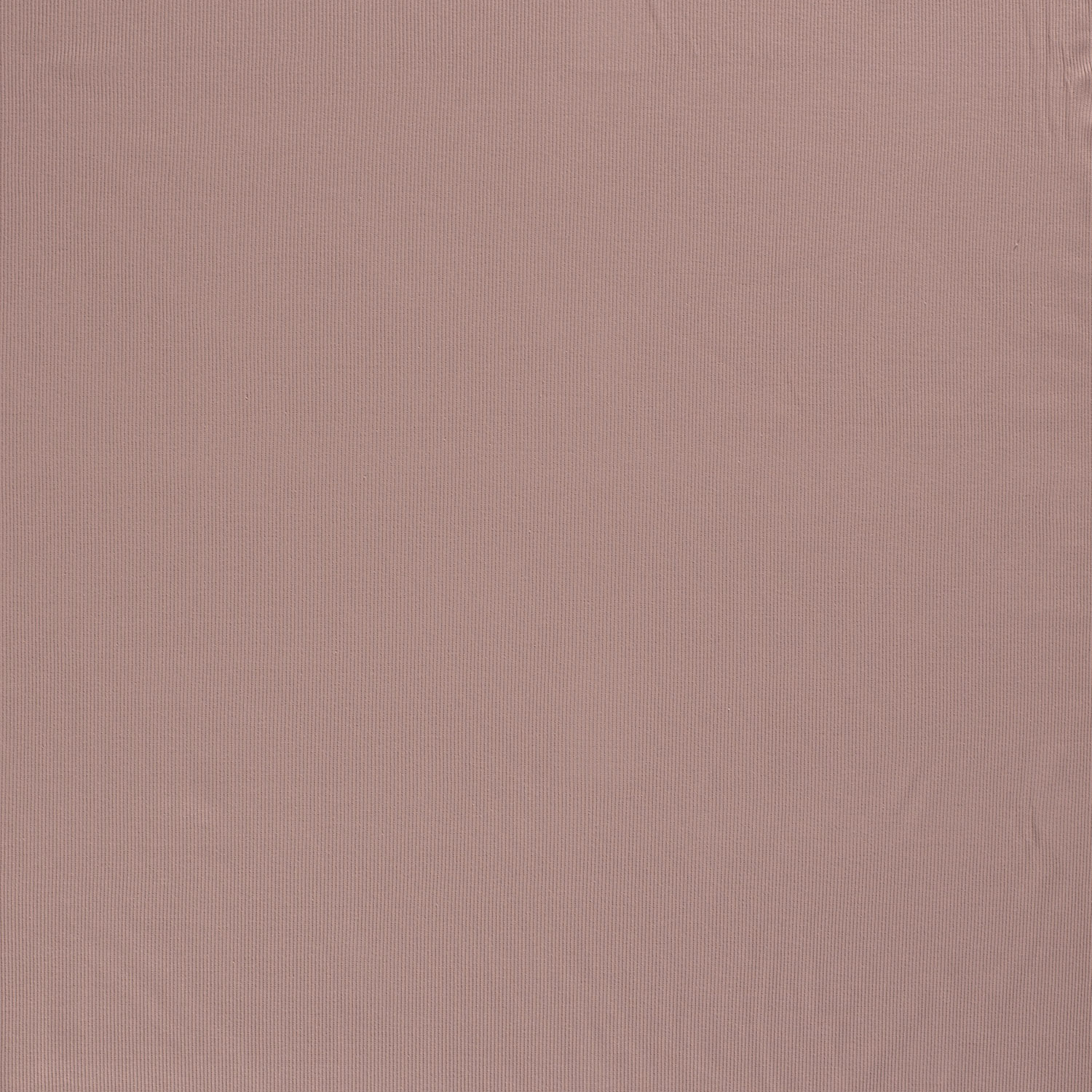 RIBBED JERSEY - DUSTY ROSE - 2