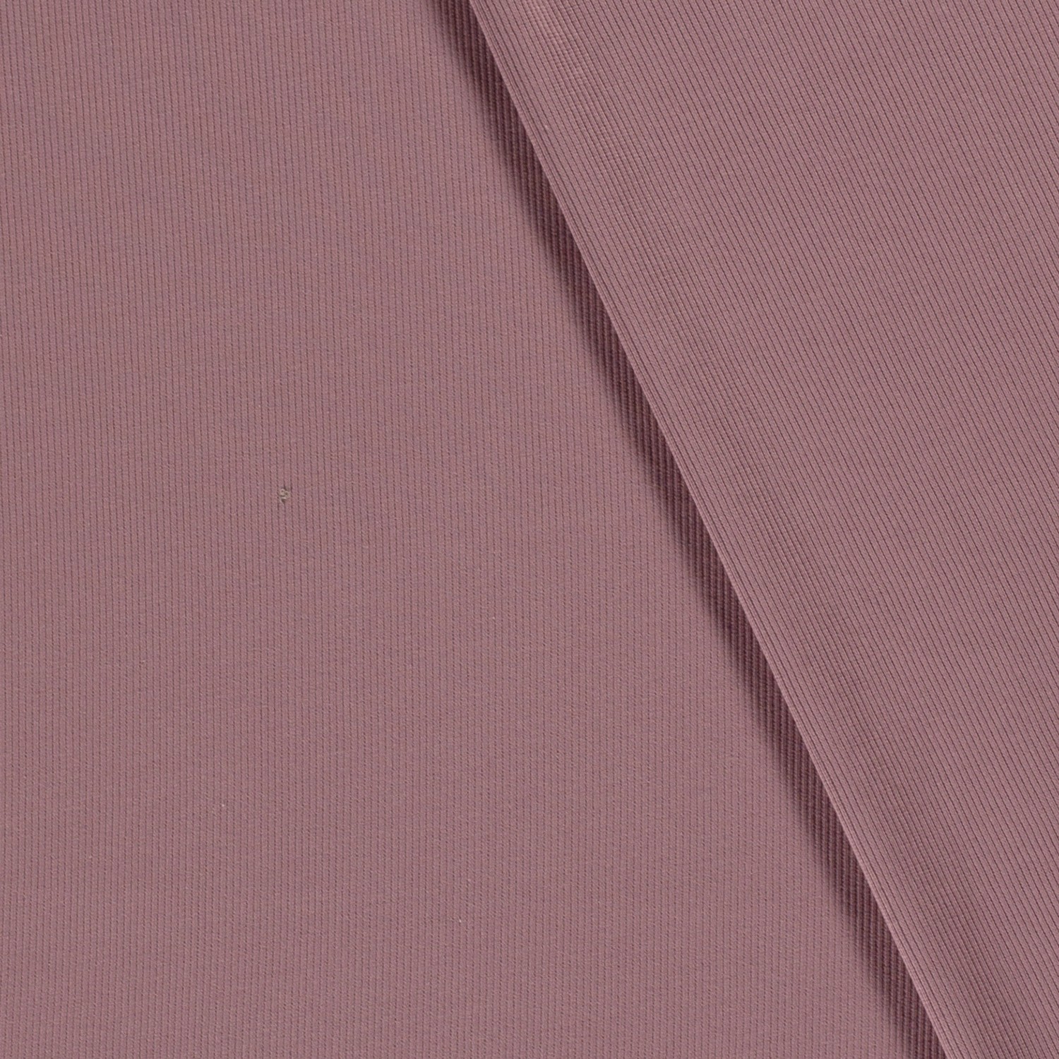 RIBBED JERSEY - GRAPE - 4