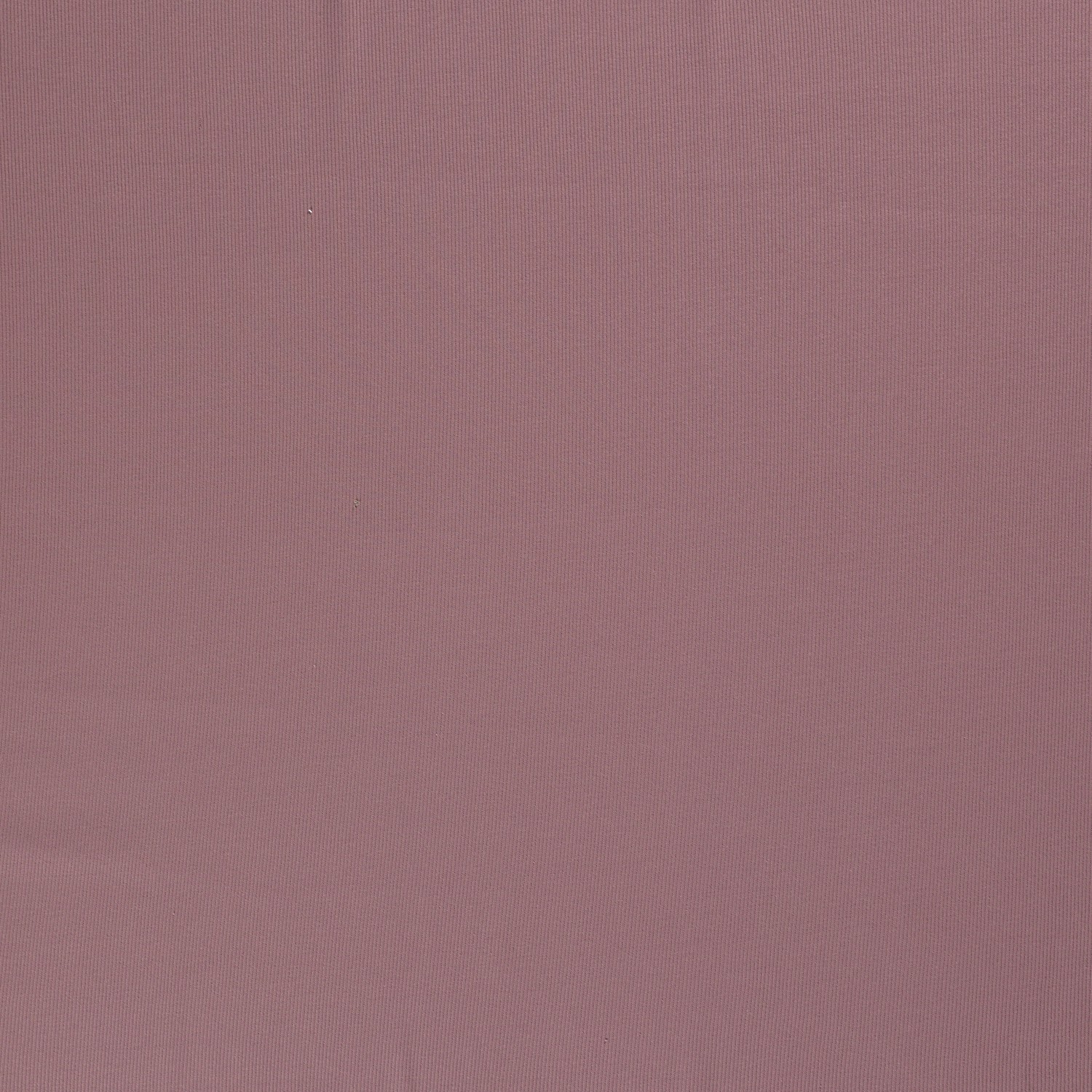RIBBED JERSEY - GRAPE - 3