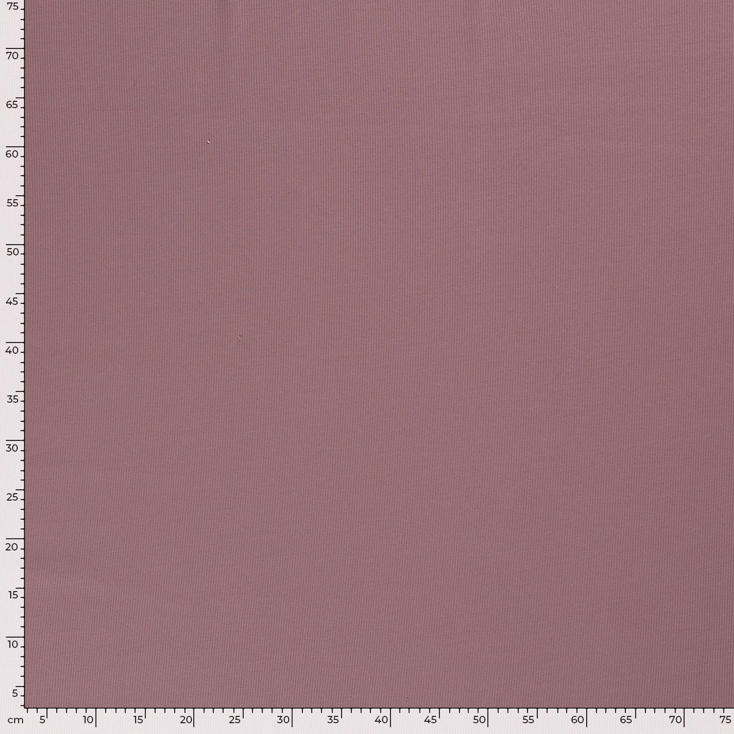 RIBBED JERSEY - GRAPE - 5