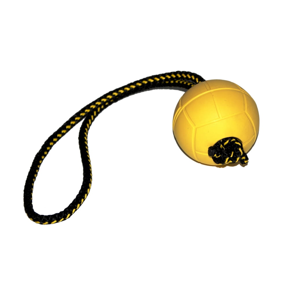 Dingo Gear Hundleksak Boll med Snöre 7 cm - 30 cm