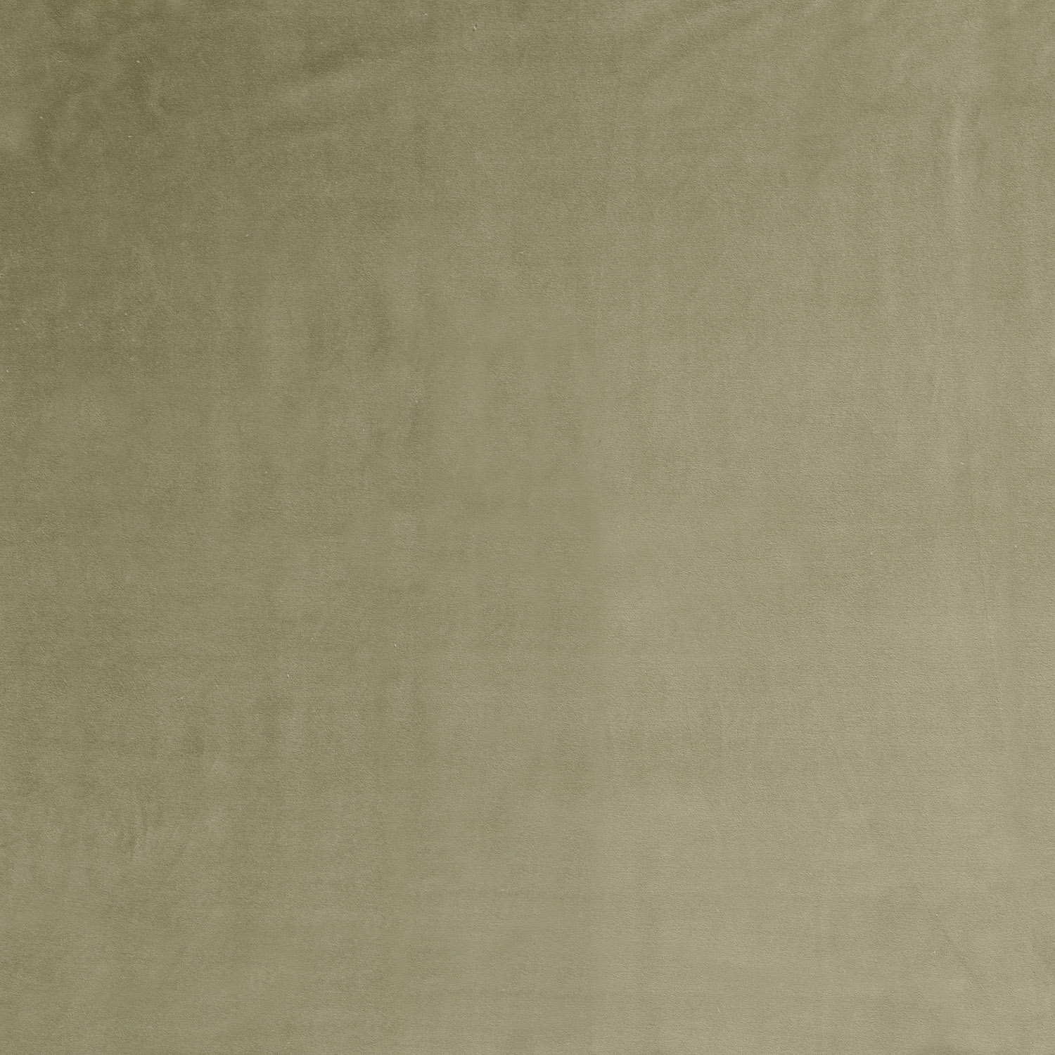 VELOUR -  OLD GREEN - 2