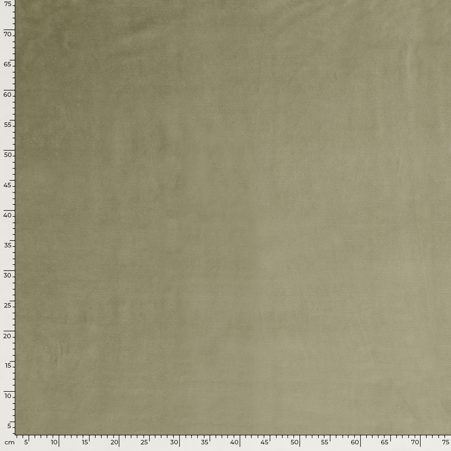 VELOUR -  OLD GREEN - 5
