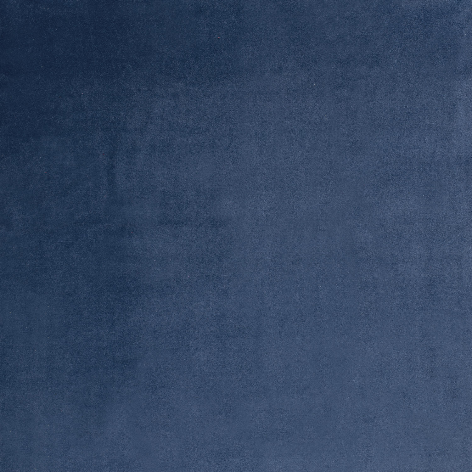 VELOUR -  DARK BLUE - 2