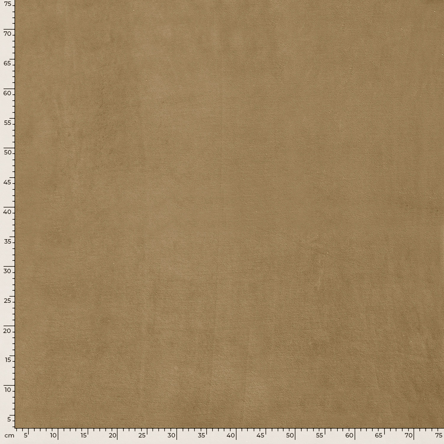 VELOUR -  WARM BEIGE - 5