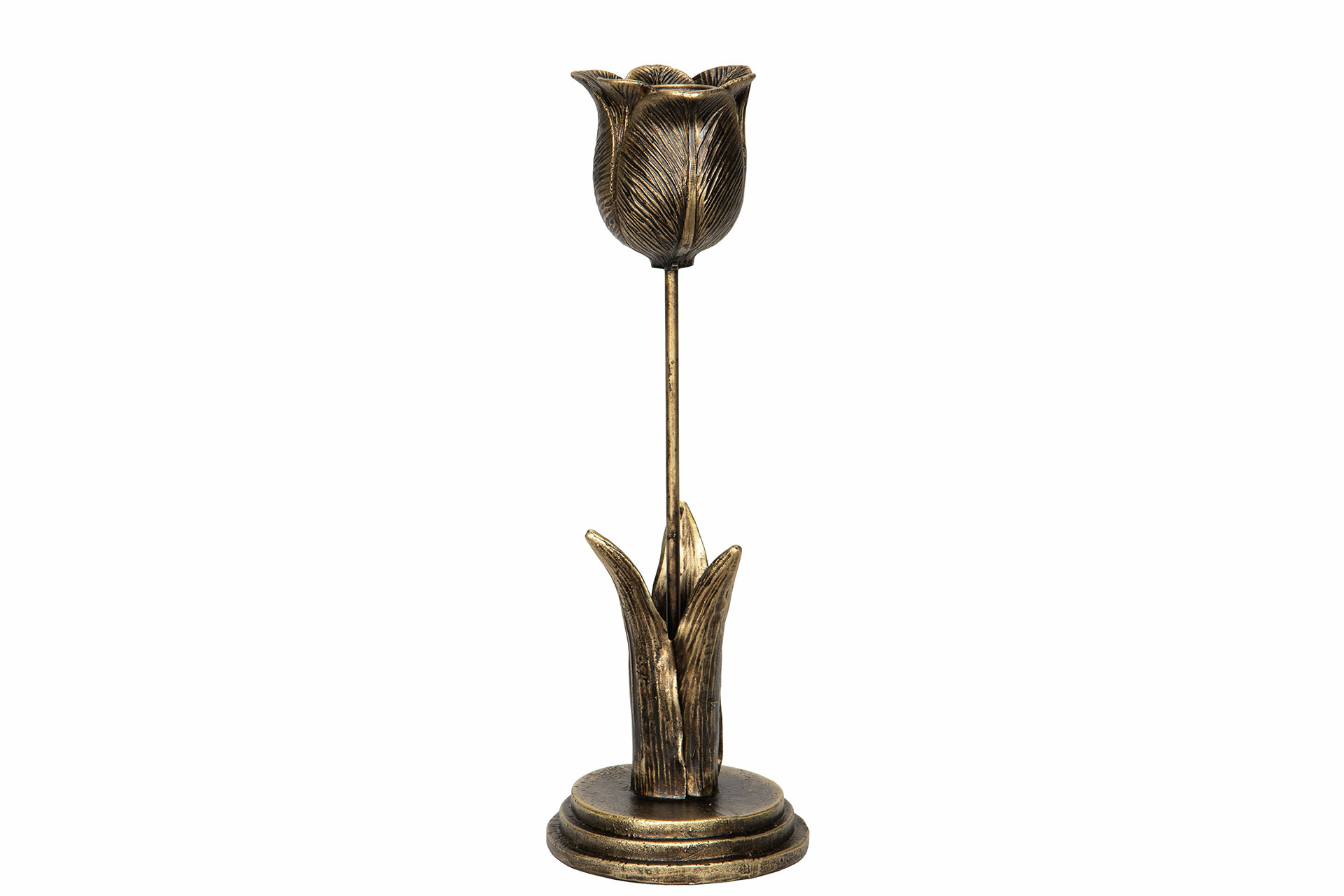 Tulip Candlestick - 7.5x23 cm - 2