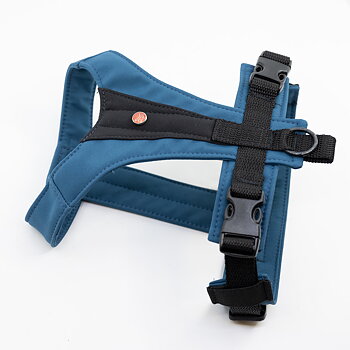 Out-n-out® Y-go | Y-harness (Petrol)