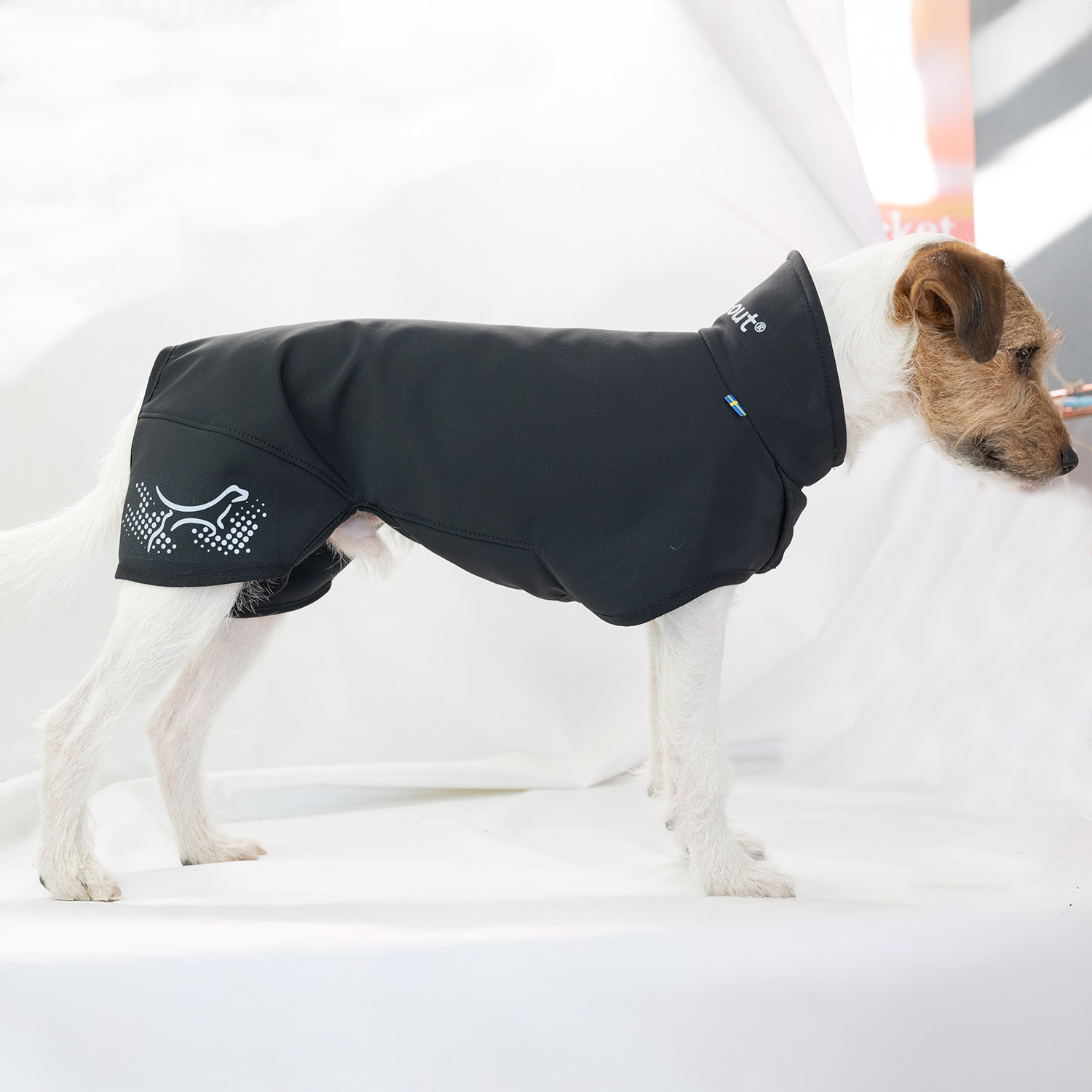 The Magical Dog Coat – Comfort & Protection for Active Dogs