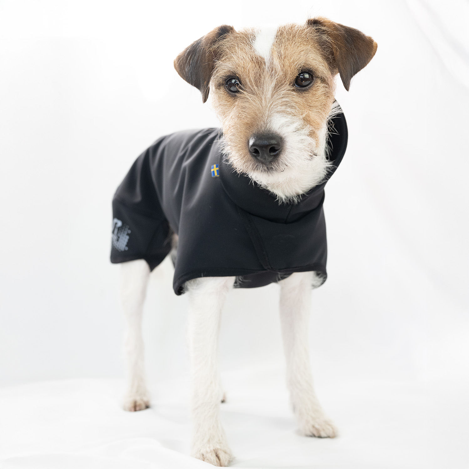 The Magical Dog Coat – Comfort & Protection for Active Dogs