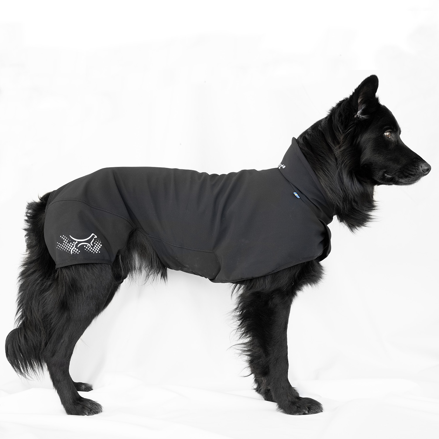 The Magical Dog Coat – Comfort & Protection for Active Dogs