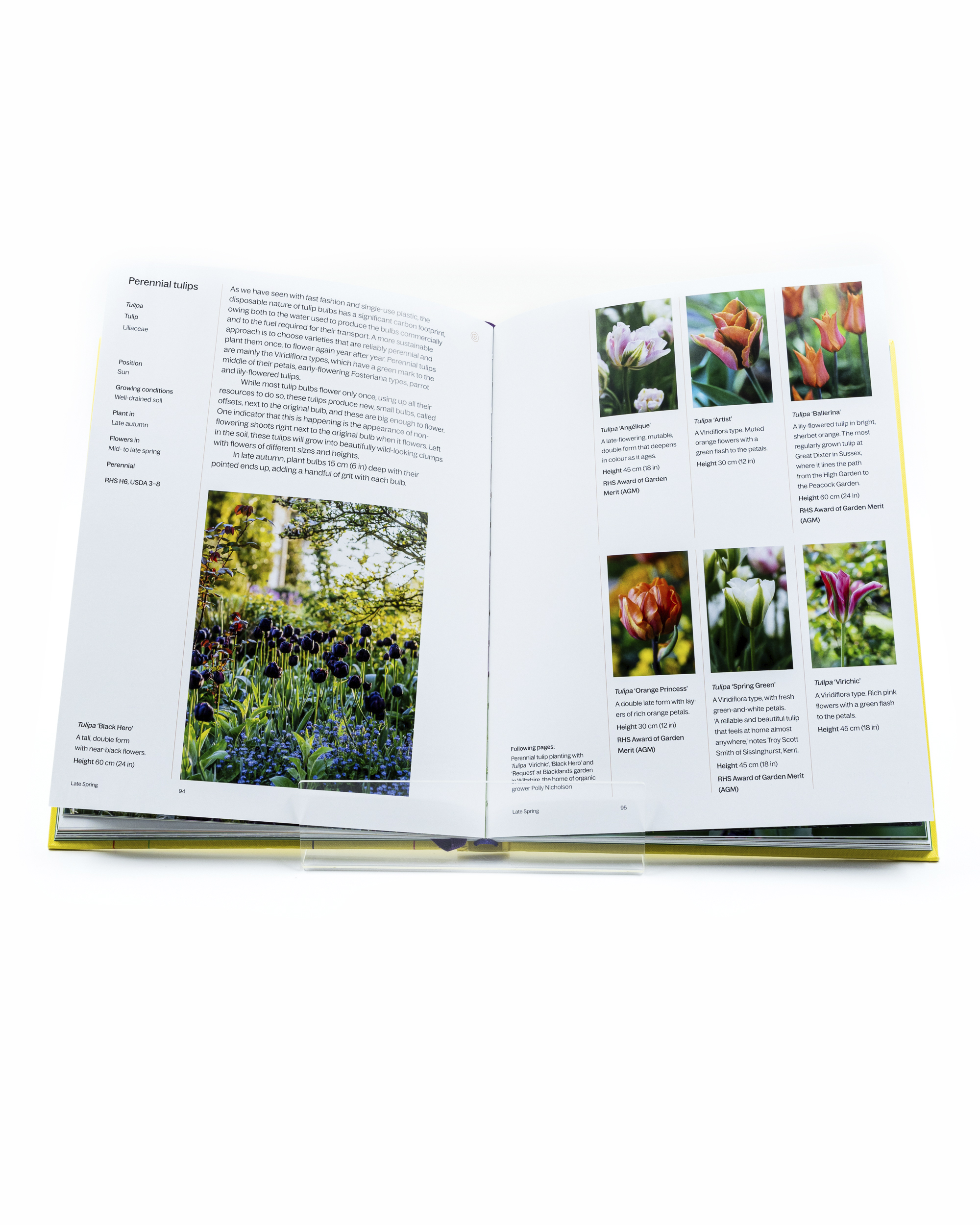  A Year in Bloom: Flowering Bulbs for Every Season - 4