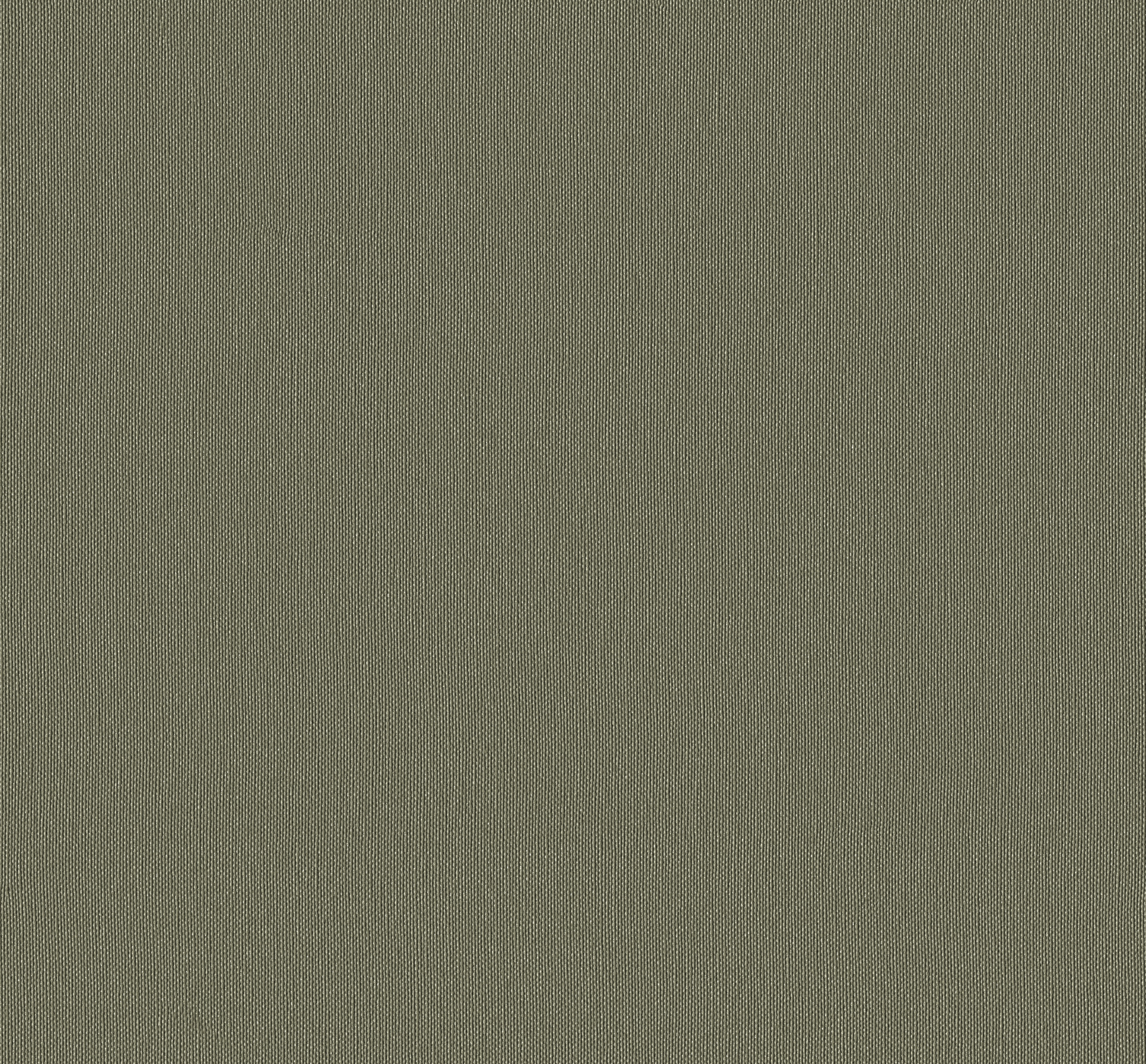 Silvertex Jungle
