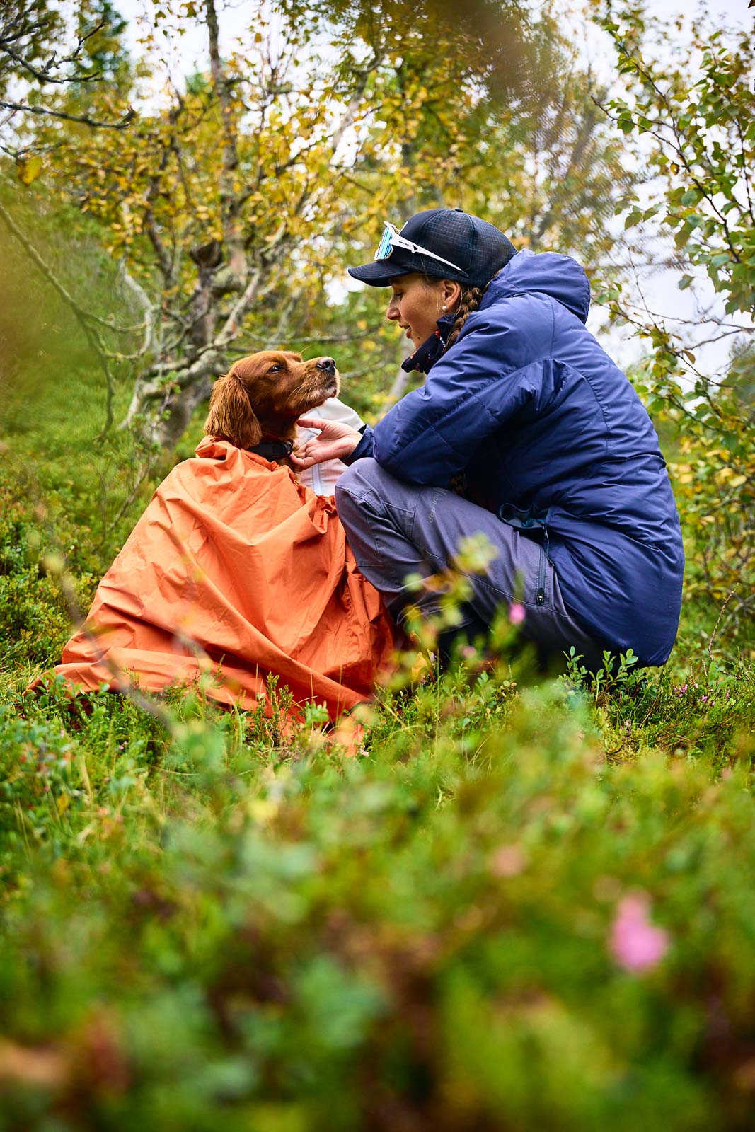 Non-Stop Dogwear Bivvy Bag  - Orange 