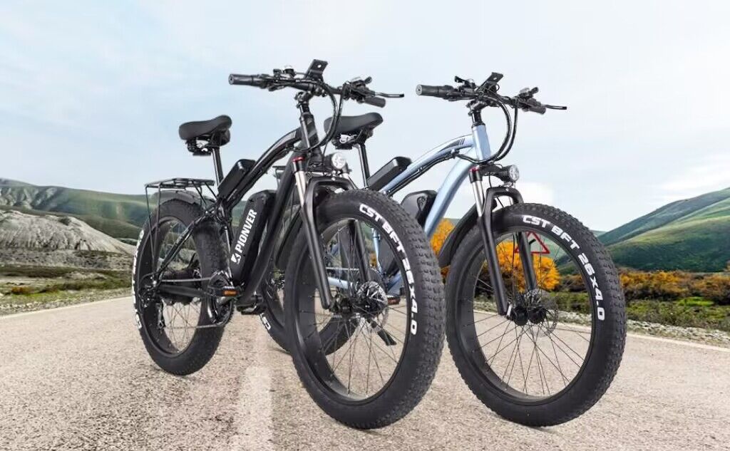 Pionver P50 e-bike - 17